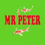 Logo of Mr Peter android Application 